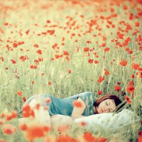 �˸��д���С��ǿ