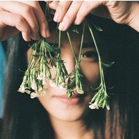 �����ƽ�ϵ��Ůͷ �ܲ�����ȥ����