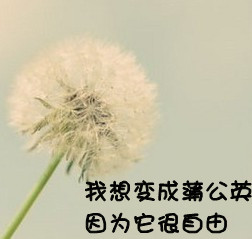 ��������ļ�Լ����ͷ������