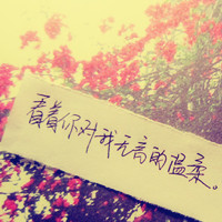 ԭ����дͷ�� ѡһ����������������