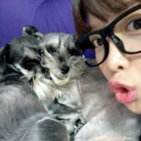 ��ϵ��������뺫ϵ�������ͷ�����ײ