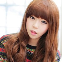 ��ϵ��������뺫ϵ�������ͷ�����ײ