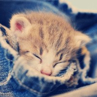 Ψ��Ů�����»�ͷ �����㲻һ���ĸ���