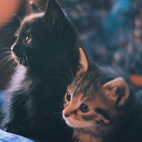 Ψ��Ů�����»�ͷ �����㲻һ���ĸ���