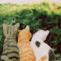 Ψ��Ů�����»�ͷ �����㲻һ���ĸ���