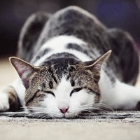 Ψ��Ů�����»�ͷ �����㲻һ���ĸ���