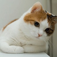 Ψ��Ů�����»�ͷ �����㲻һ���ĸ���