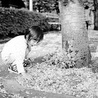 ��ϵ�ڰ�Ů��ͷ�� ��ͬ�ں�ϵ����