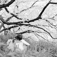 ��ϵ�ڰ�Ů��ͷ�� ��ͬ�ں�ϵ����