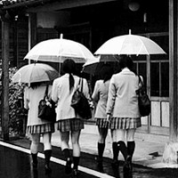 ��ϵ�ڰ�Ů��ͷ�� ��ͬ�ں�ϵ����