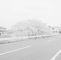 ��ϵ�ڰ�Ů��ͷ�� ��ͬ�ں�ϵ����