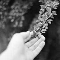 ��ϵ�ڰ�Ů��ͷ�� ��ͬ�ں�ϵ����