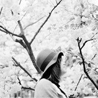 ��ϵ�ڰ�Ů��ͷ�� ��ͬ�ں�ϵ����