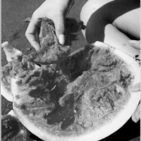 ��ϵ�ڰ�Ů��ͷ�� ��ͬ�ں�ϵ����