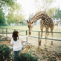 �ɾ��򵥵�Ů��ͷ�� �������ĵ��������ĵط�