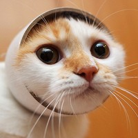 �ɾ��򵥵�Ů��ͷ�� �������ĵ��������ĵط�