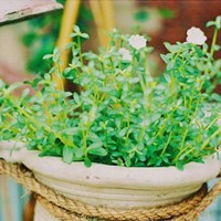 �ɾ��򵥵�Ů��ͷ�� �������ĵ��������ĵط�