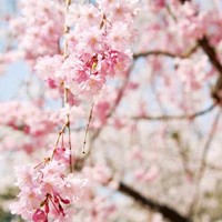 �ɾ��򵥵�Ů��ͷ�� �������ĵ��������ĵط�