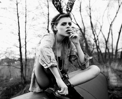 �Ӿ��й��ջ�ŷ��ͷ�� ��ֻ����������