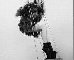 �Ӿ��й��ջ�ŷ��ͷ�� ��ֻ����������