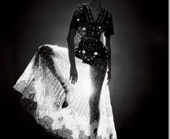 �Ӿ��й��ջ�ŷ��ͷ�� ��ֻ����������