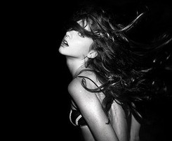 �Ӿ��й��ջ�ŷ��ͷ�� ��ֻ����������