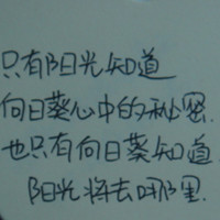 �����й����������QQͷ��ѡ