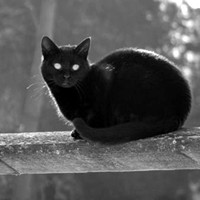 ����ͷ�� �͸�����С�����뺫ϵ�������