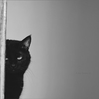 ����ͷ�� �͸�����С�����뺫ϵ�������