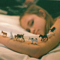 ����ͷ�� �͸�����С�����뺫ϵ�������