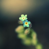 ������ͷ�� ���ʺ����ռ�ͷ�������ͷ��