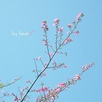 ������ͷ�� ���ʺ����ռ�ͷ�������ͷ��