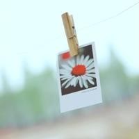 ������ͷ�� ���ʺ����ռ�ͷ�������ͷ��