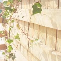 ������ͷ�� ���ʺ����ռ�ͷ�������ͷ��