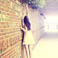 ���źϼ����ͷ�� ���Ƿ�����еĿɰ�