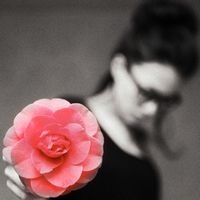 û���������н��� ����ھ�Ʒ����QQͷ��