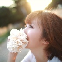 û���������н��� ����ھ�Ʒ����QQͷ��