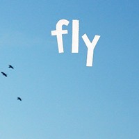 �ܶ�����ͷ�� ������Щ��û�������ǵ���