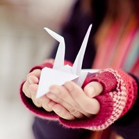 Ů��ͷ�� ��ͷ��Ϯ ��Щ����ϲ������