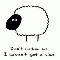 ���ֺ��а�������QQͷ���ٶ�Ϯ�� ��ĩ�Ƽ�