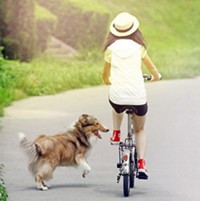 ůɫϵ����ͼ��ͨ����Ů���ɰ�ͷ��