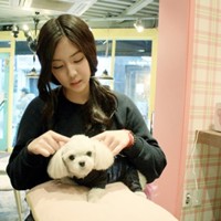 ůɫϵ����ͼ��ͨ����Ů���ɰ�ͷ��