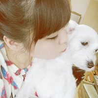 ��Ҫ������ͼ�Ի� ����Ĳ��ǿ�ͨ����ͷ��