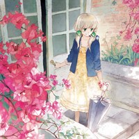 ��Ҫ������ͼ�Ի� ����Ĳ��ǿ�ͨ����ͷ��