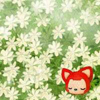 ���ȿɰ�ͷ��ڶ��� �����˲������ľ���ͷ��