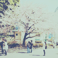 �е㻳�ɷ���QQͷ�� ˵����ʲôɫ��