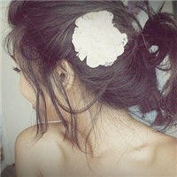 ������ռ����Ӿ� �뻨�йص�Ψ��ͷ��