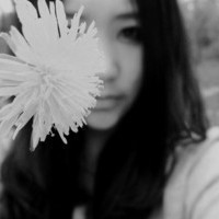 ������ռ����Ӿ� �뻨�йص�Ψ��ͷ��