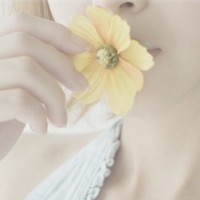 ������ռ����Ӿ� �뻨�йص�Ψ��ͷ��