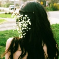 ������ռ����Ӿ� �뻨�йص�Ψ��ͷ��